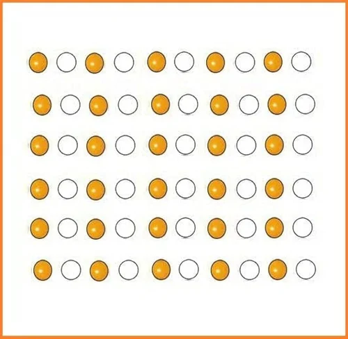 Byol Magnet General Set Of 10